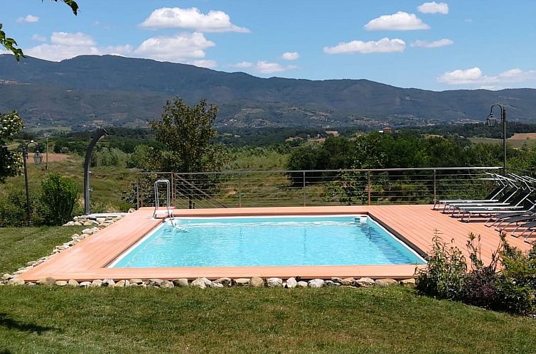 Appartement Flache Kornblume