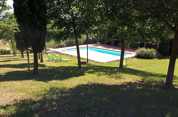 Appartement Flache Kornblume