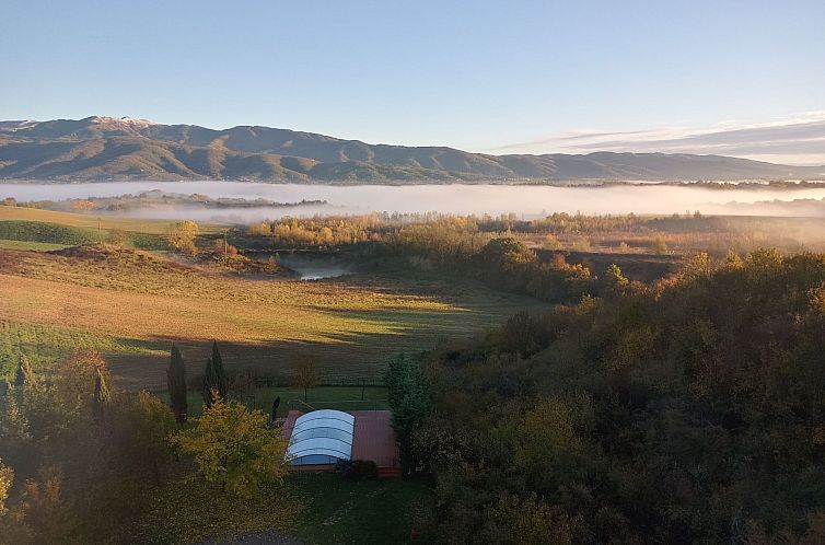 Appartement Flache Kornblume