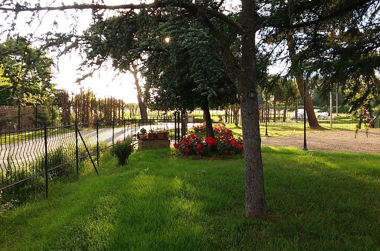 Appartement Flache Kornblume