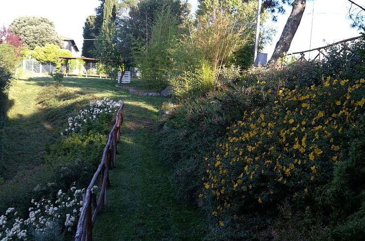 Appartement Flache Kornblume