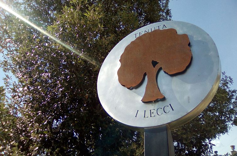 Appartement Flache Linde