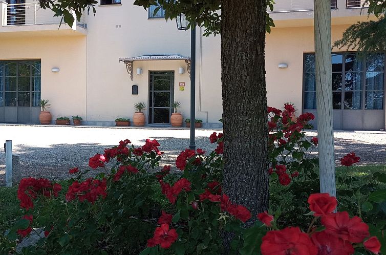 Appartement Flache Linde