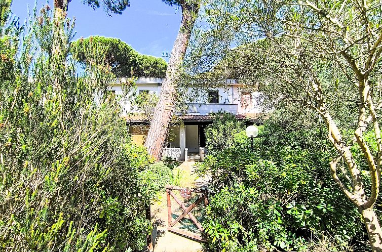 Vakantiehuis Barracuda
