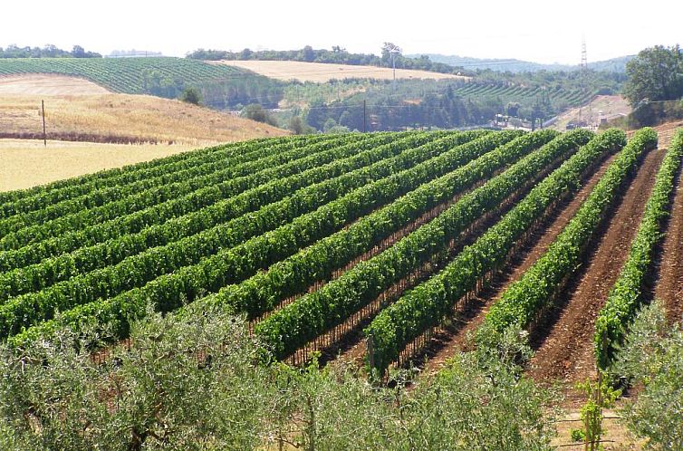 Agriturismo Francesca