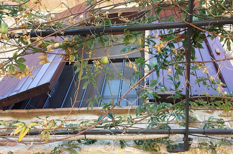 Appartement Anwesen mit Balkon