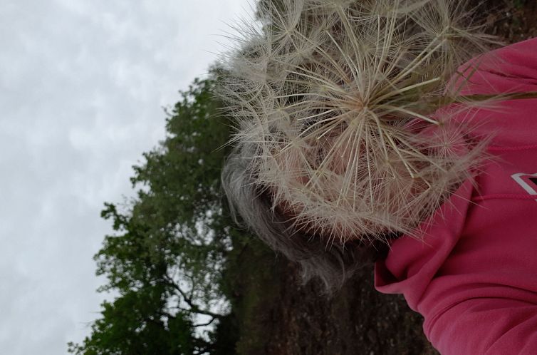 Appartement wohnung in Massa Marittima 2 schlafzimmer und 2 