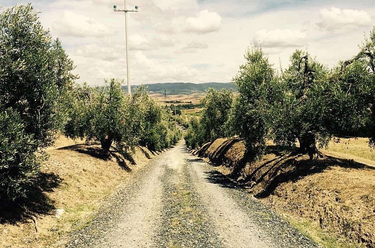 Agriturismo Fattoria dei Fiori