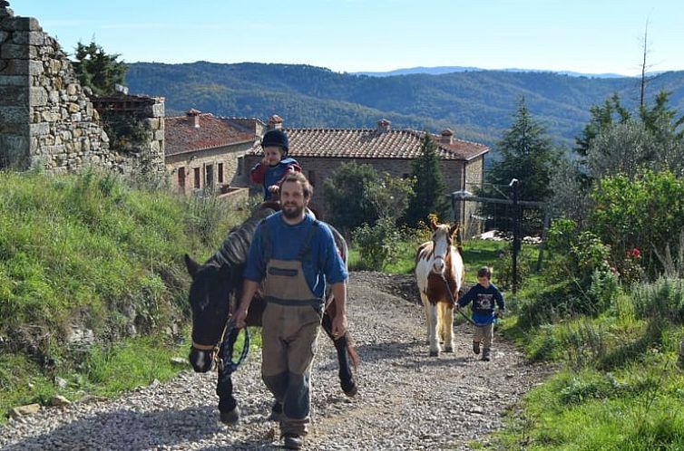 Vakantiehuisje in Gaiole in Chianti