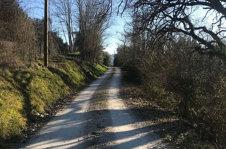 Appartement Landhaus Poggio Cantarello - Toskana