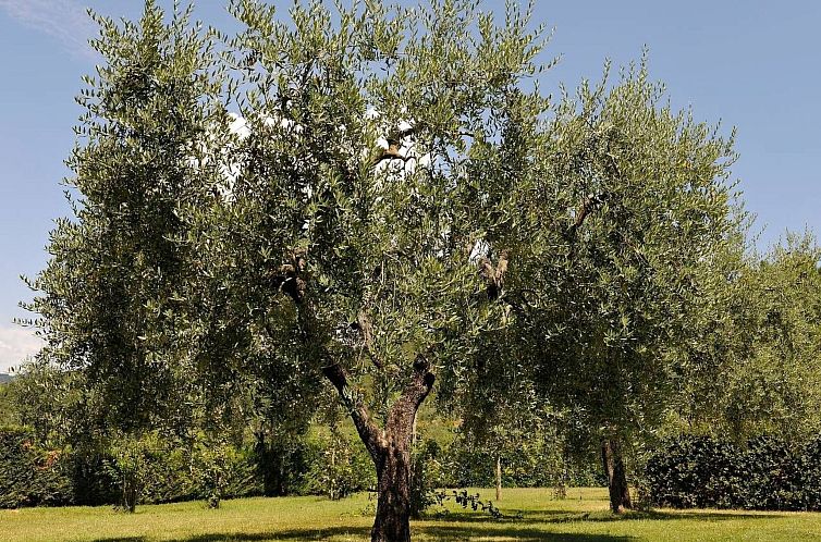 Appartement für 2 Personen  + 1 Kind ca. 65 m&sup2; in Cort