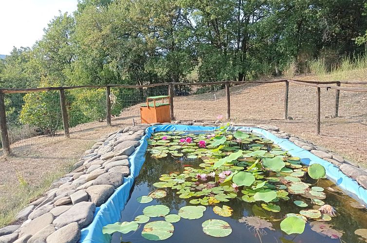 Appartement Wohnung la Mimosa