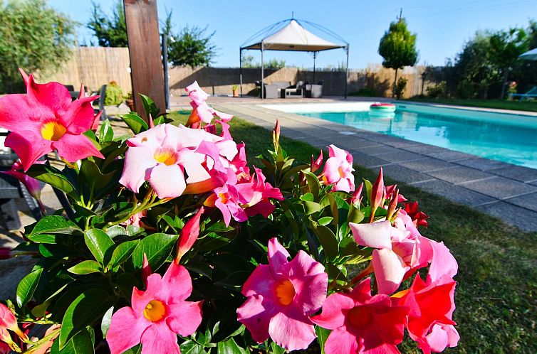 Vakantiehuis für 20 Personen in Cortona, Trasimenischer See