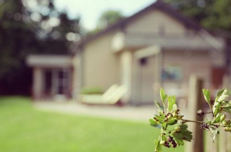 La Brindille vacation home in Durbuy, Ardennes with green garden and peaceful environment.