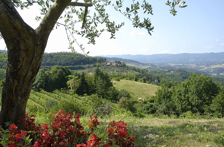 Appartement La Fonte