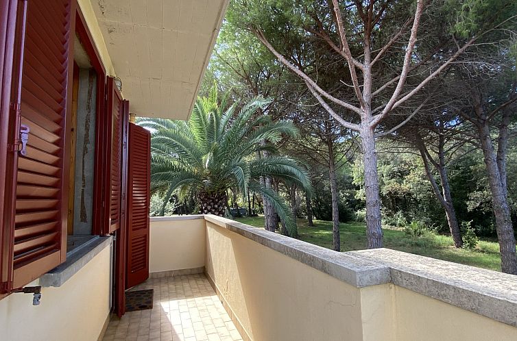 Appartement Pineforest
