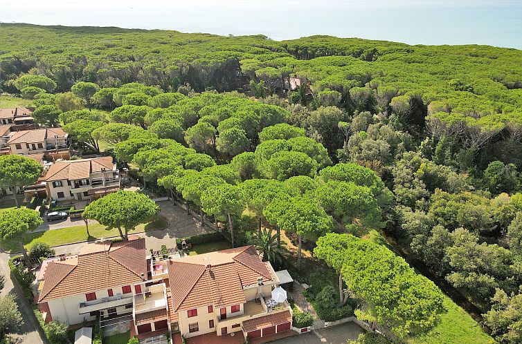 Appartement Pineforest
