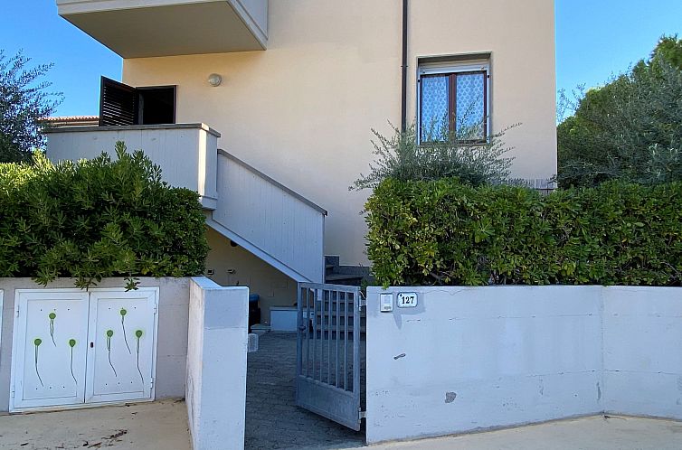 Appartement Palazzeta III