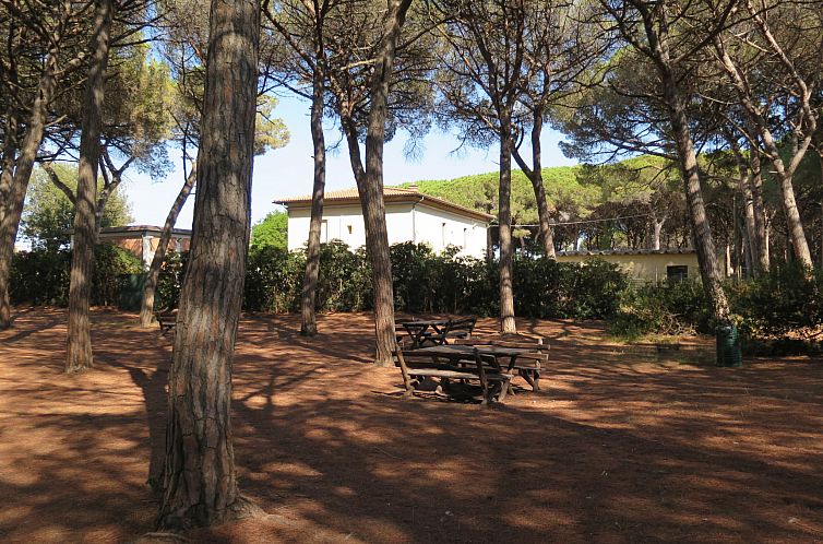 Appartement Palazzeta III