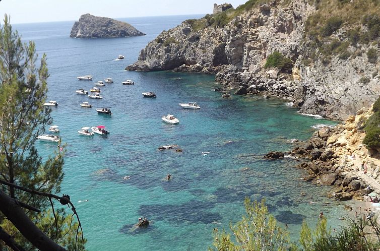 Appartement der Birnbaum