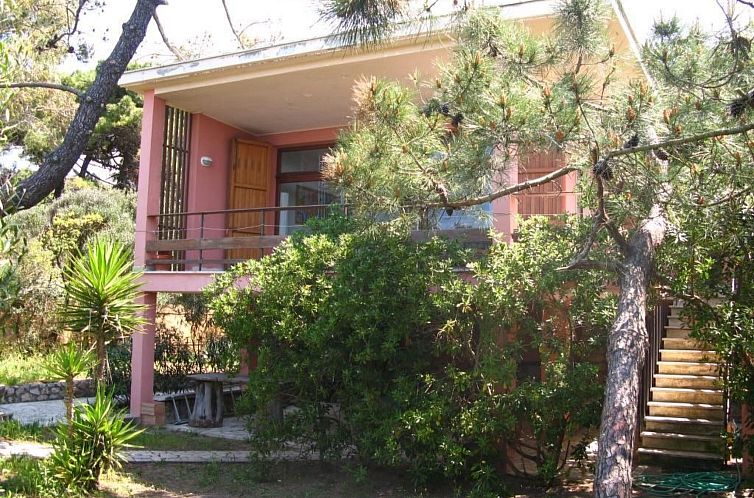 Vakantiehuis Villa Giacaranda