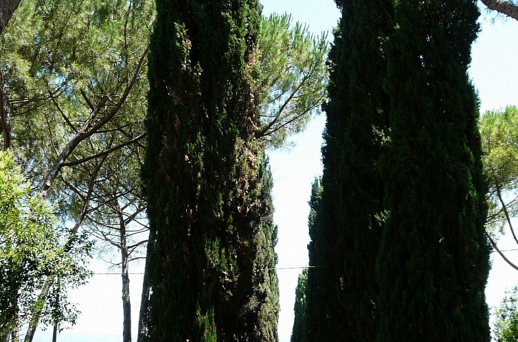 Appartement 'Santinovo olivo' mit Pool