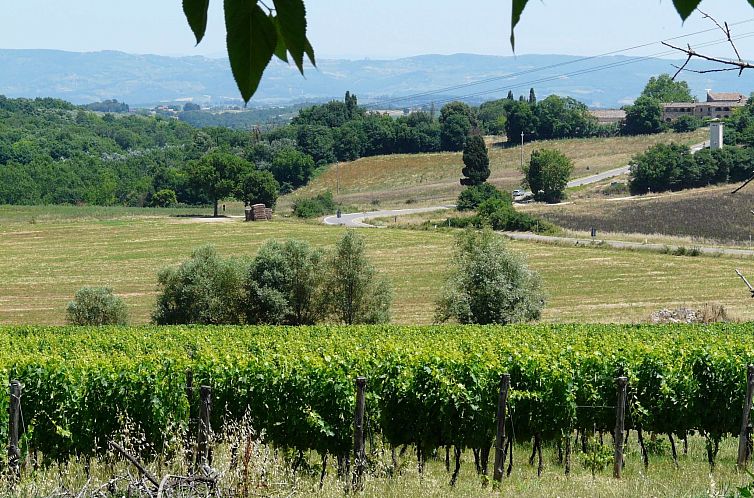 Appartement 'Santinovo olivo' mit Pool