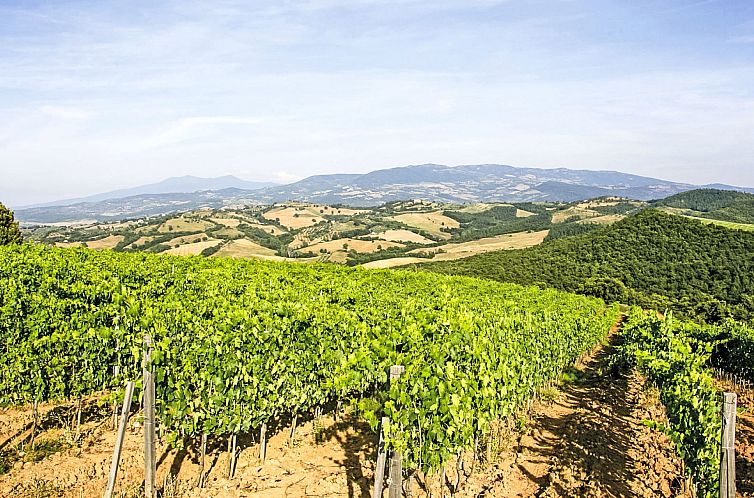 Vakantiehuis Ciliegiolo