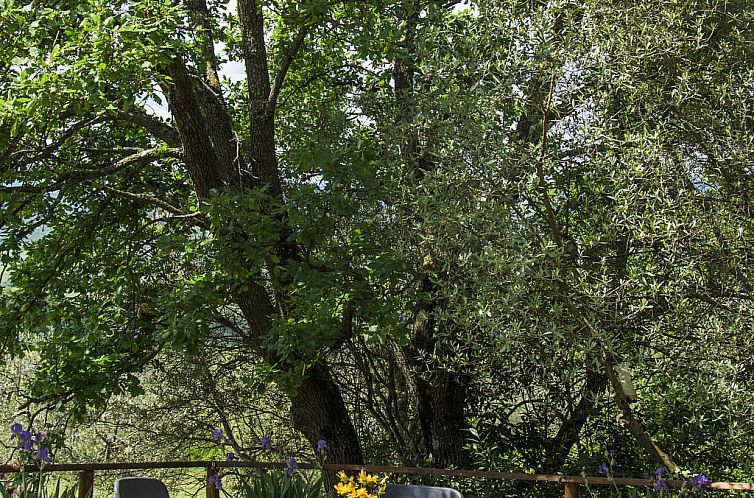 Vakantiehuis Casolare Ser Chelino