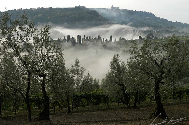 Appartement Narciso' Wohnung mit Gemeinschaftspool