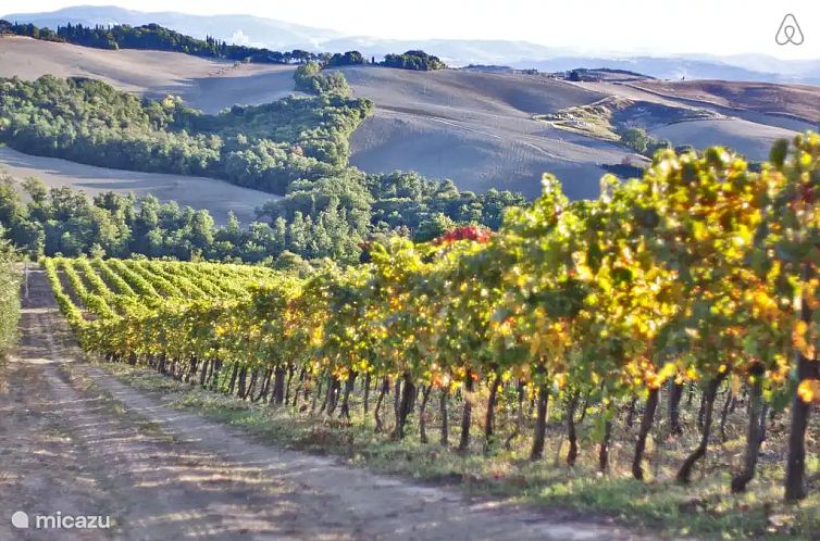 Podere Grignano