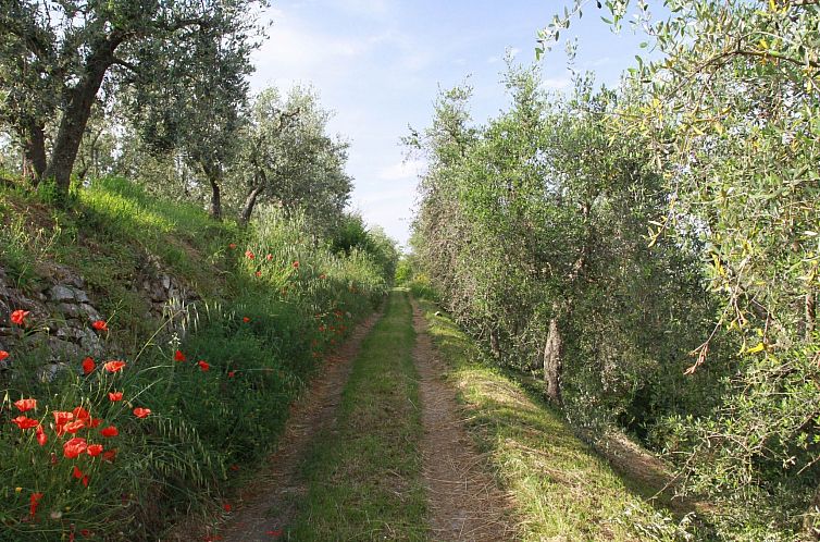 Appartement Wohnung 'Giulia 6' mit Pool