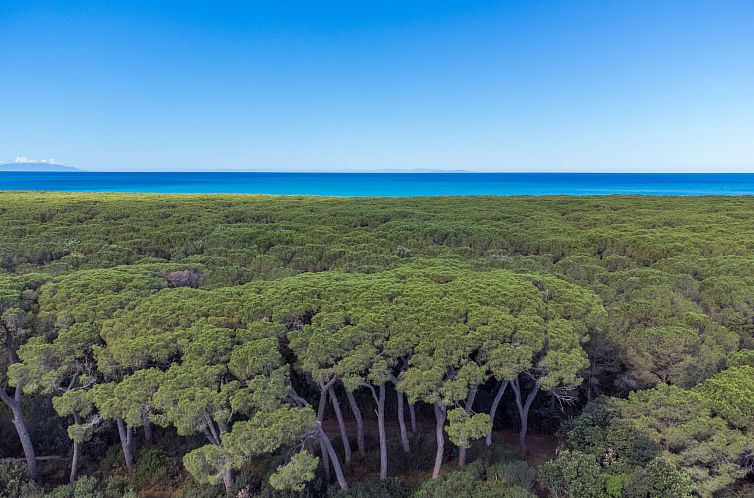 Appartement Fattoria Palazzeta