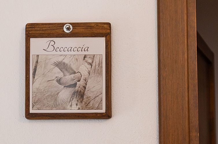 Appartement Casa Milla - Zwei-Zimmer-Wohnung Waldschnepfe