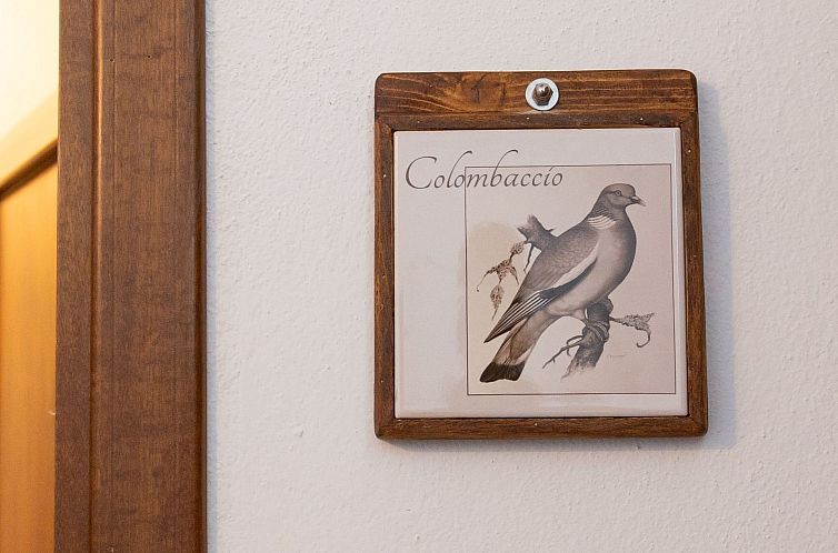 Appartement Casa Milla - Zwei-Zimmer-Wohnung Colombaccio