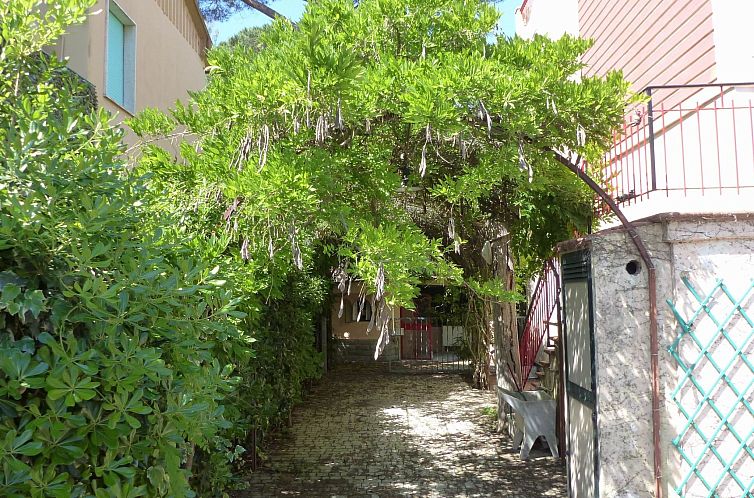 Appartement Große Wohnung in Mazzanta mit Schöner Terrasse