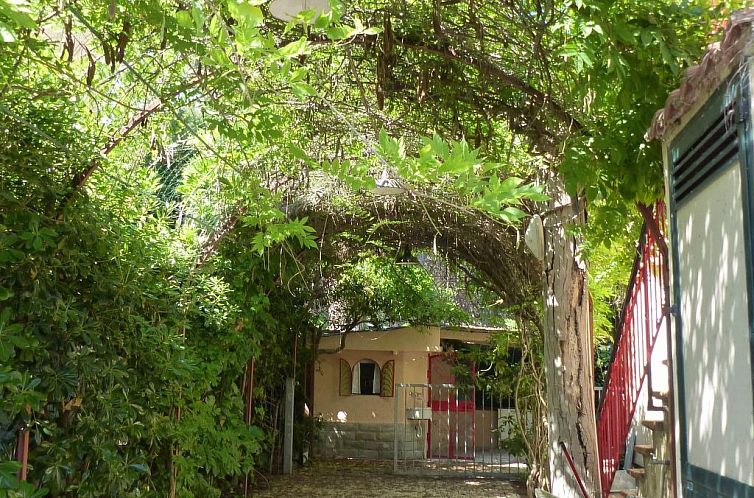 Appartement Große Wohnung in Mazzanta mit Schöner Terrasse