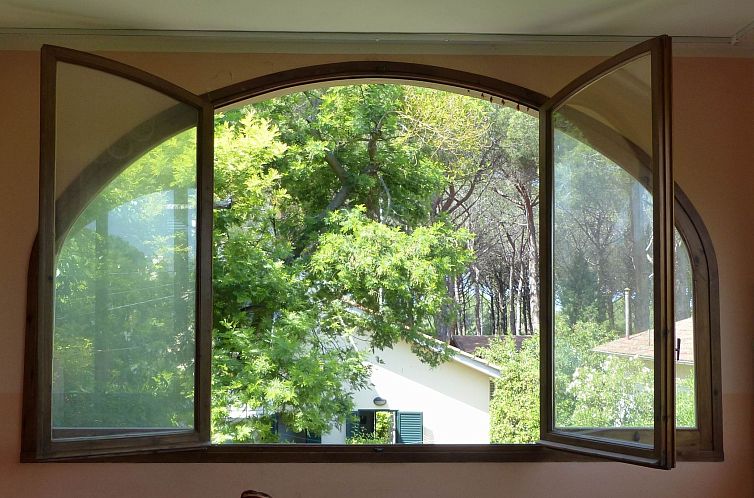 Appartement Große Wohnung in Mazzanta mit Schöner Terrasse