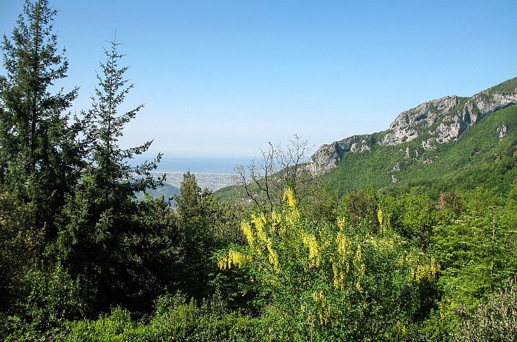 Vakantiehuis La Quercia