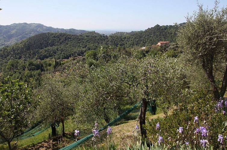 Vakantiehuis 'Giaggioli' mit Garten und Terrasse