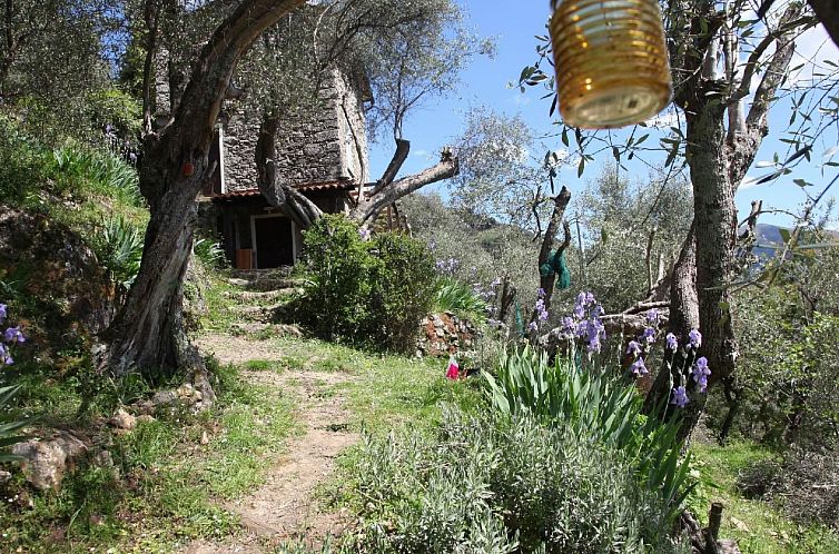 Vakantiehuis 'Giaggioli' mit Garten und Terrasse