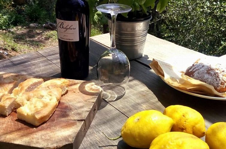 Vakantiehuis 'Giaggioli' mit Garten und Terrasse