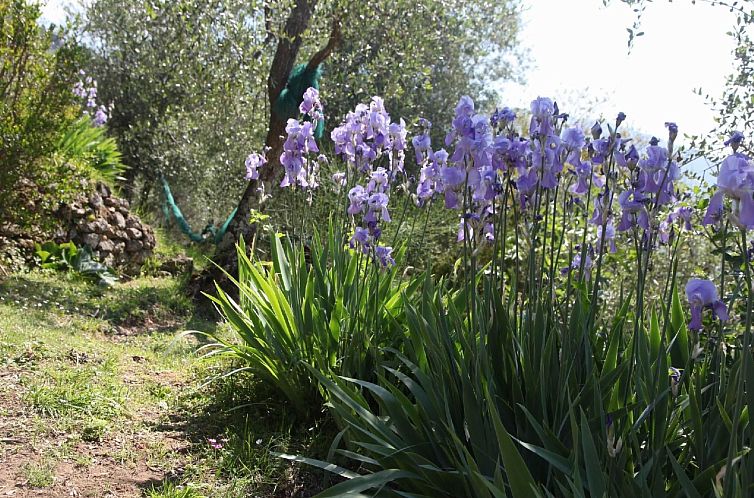 Vakantiehuis 'Giaggioli' mit Garten und Terrasse