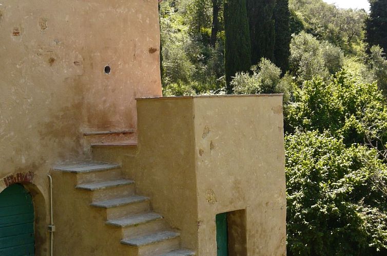 Vakantiehuis 'Graceland' mit Garten und Terrasse