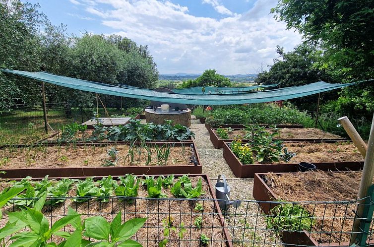 Vrijstaande woning in Foiano della Chiana