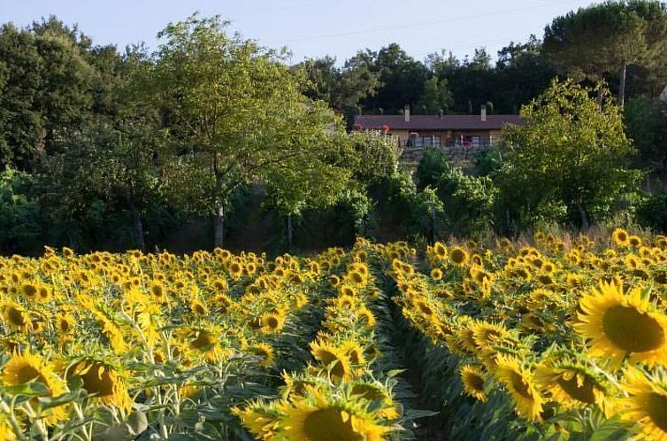 Appartement Lo Strettoio Wohnung mit Gemeinschaftspool