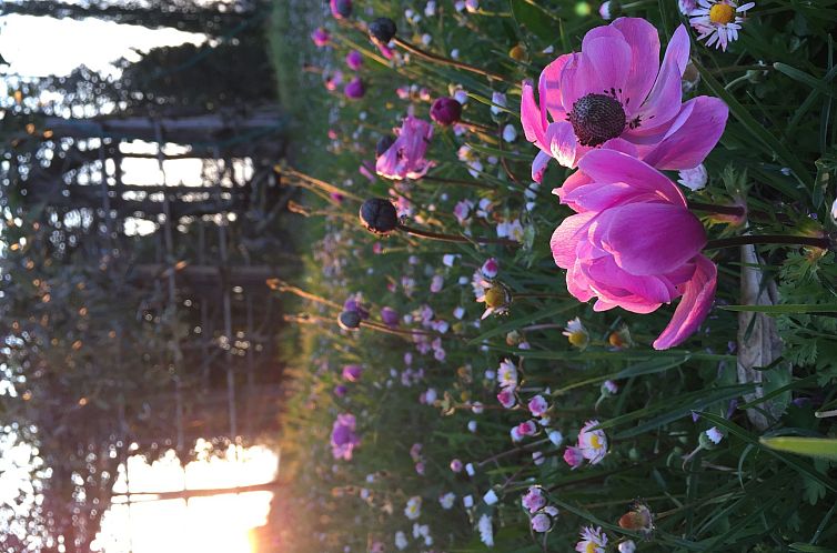 Appartement La Terrazza