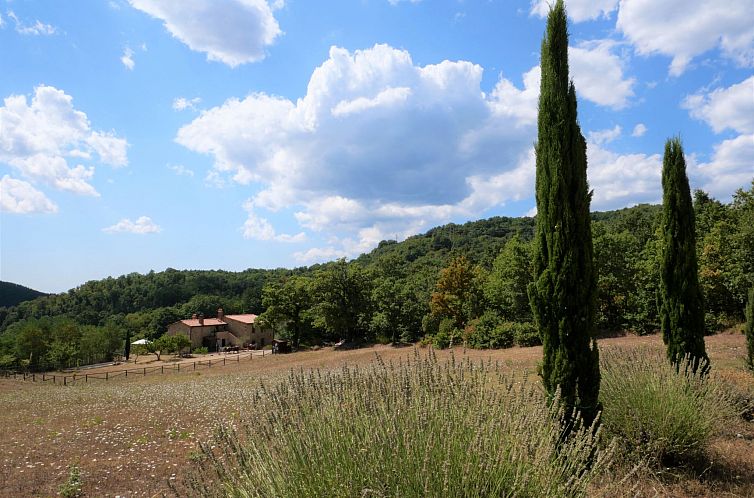 Appartement Pian dei Carpini - Chiara