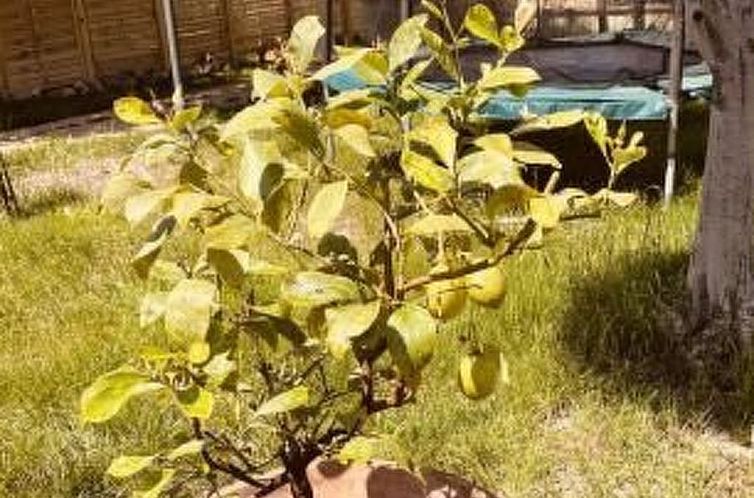 Appartement Villa Patty Assisi