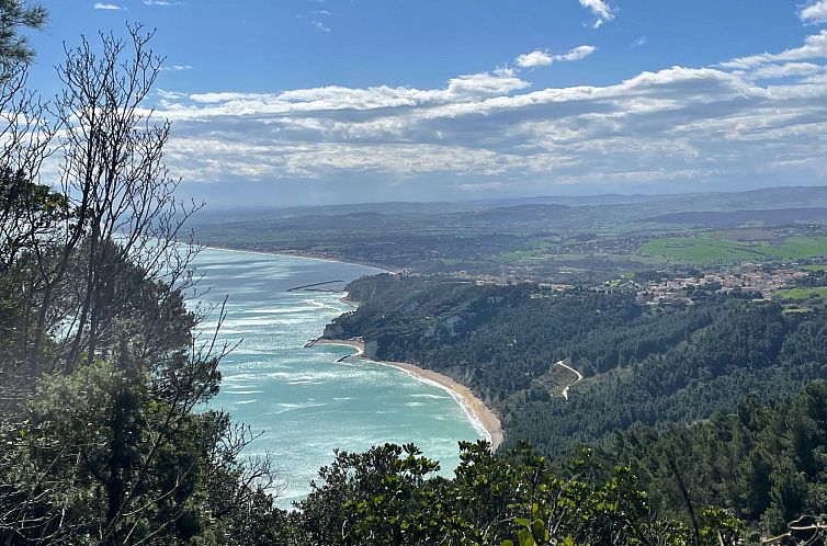 Appartement Monte Pino